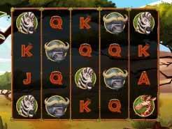 Safari Spins Slots